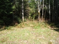 re_DSCF0480