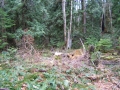 re_DSCF0487