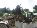 stocking cleanup 042.JPG