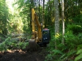 re_stocking_creek_001