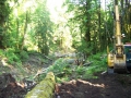 re_stocking_creek_002